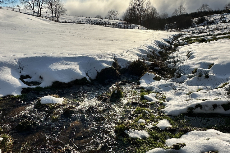 Ruisseau enneigé à Vollore-Montagne dans le Parc Livradois-Forez, paysage d’hiver en Auvergne près de l’Hôtel des Touristes.