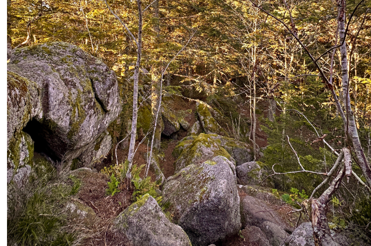 Paysage de promenade forestière près de l’Hôtel des Touristes à Vollore-Montagne, au cœur du Parc Livradois-Forez en Auvergne.
